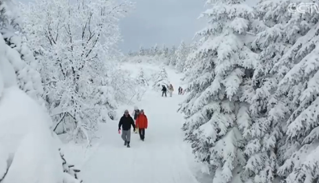 新春走基层｜穿林踏雪护太行