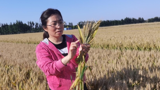 全国人大代表曹彩云：让每一滴水发挥最大效益