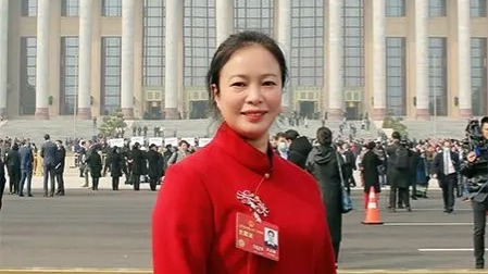 成新湘代表：下绣花功夫 助产业发展