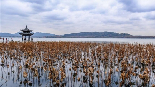 崔巍委员——广泛交流 保护传承文化遗产