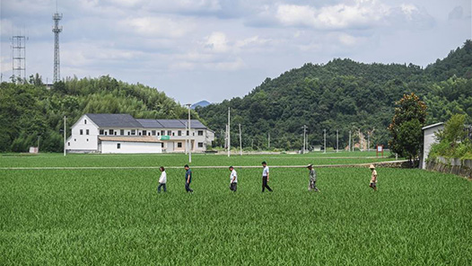 胡晓玲代表——多地走访 深入调研改善民生