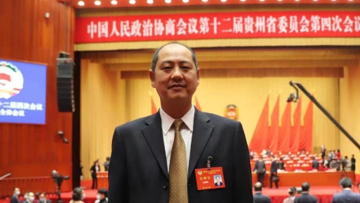 陈前林委员——聚焦难点，高效利用矿产资源