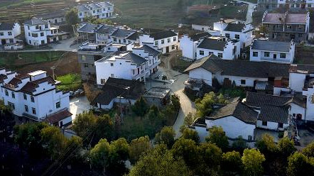 全国人大代表杨春平：把基层声音带到全国两会