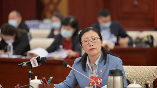 王彩云代表：潜心攻克乳业“卡脖子”技术难题