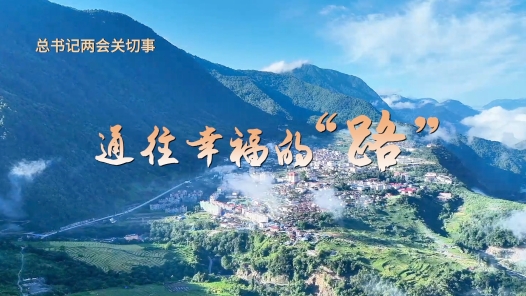 总书记两会关切事｜通往幸福的“路”