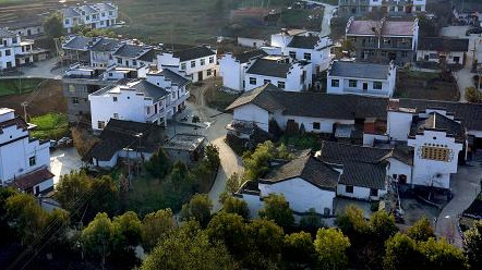 周超：履职尽责为民办实事