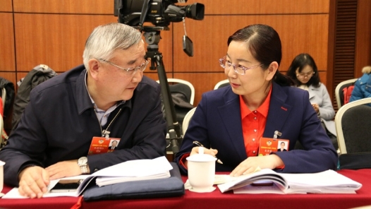 关芳芳委员：扎根基层 为民建言