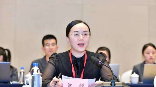 全国人大代表黄超：持续推动边境口岸高水平开放