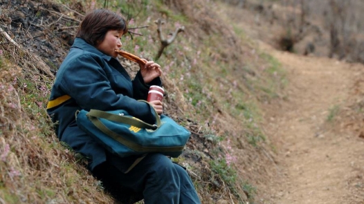 赵明翠：邮包在肩扛起老百姓的期盼