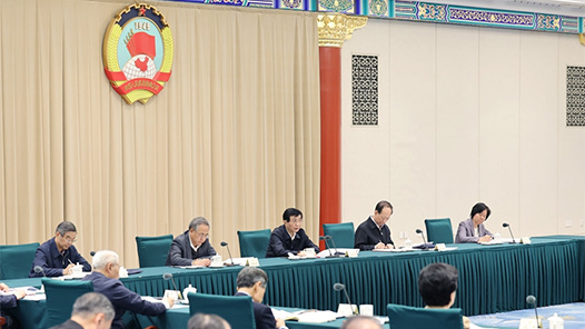 同心同德筑伟业 群策群力启新篇——十四届全国政协开局之年工作回眸