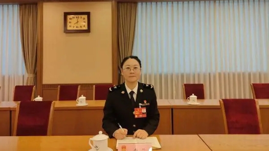 李兰代表——优化流程 提升进出口通关效能