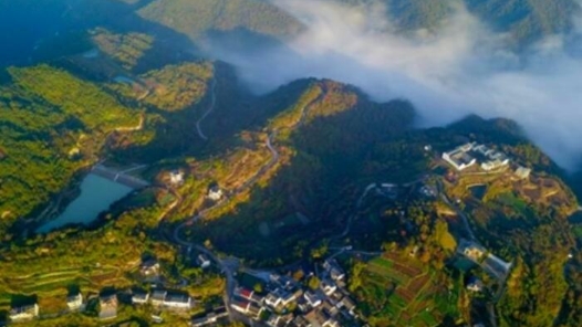 人民论坛：汇聚团结奋斗的力量