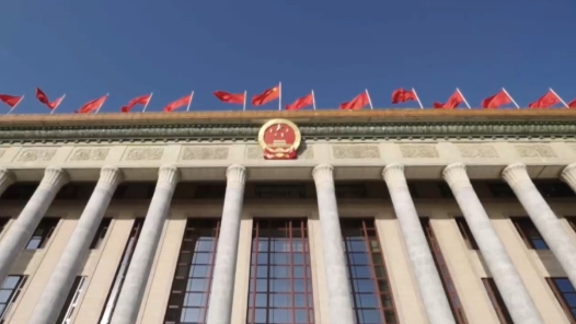 时政微纪录丨习近平总书记与代表委员议国是