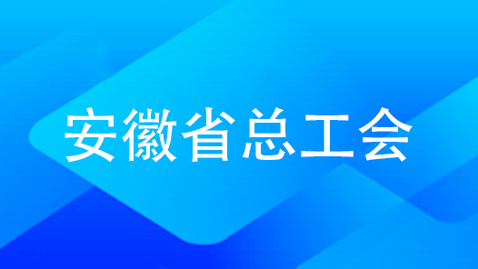 安徽省总：以高质量党建引领保障工会工作高质量发展