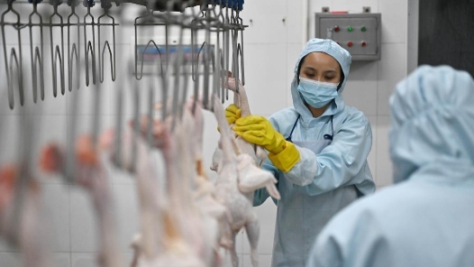 辽宁省政协组织住辽全国政协委员开展视察