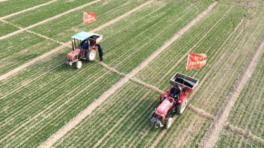 提质增效，乡村振兴齐鲁样板成色更足