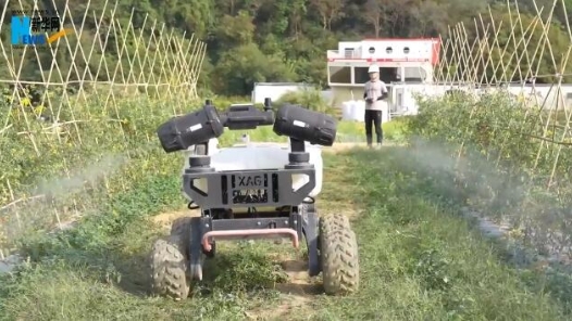 两会Vibe丨“数字农技员”叶永辉：智慧农业让未来充满想象