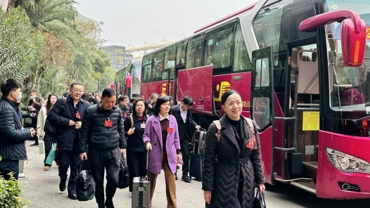 十四届全国人大二次会议广西代表团今日抵京