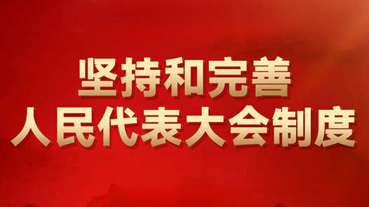 两会特别报道丨筑牢强国建设、民族复兴的制度根基