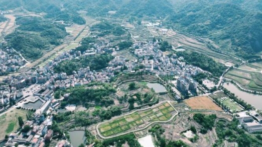 透过“两会热词”读懂民生新期待