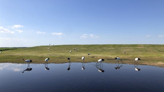 吴代赦委员——钻研探索 助力生态产业发展