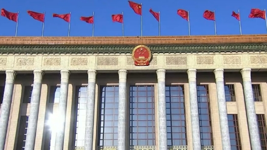 世界看两会丨国际人士关注中国两会 希望未来与中国加深合作