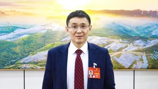 全国人大代表钟宝申：农村光伏要与美丽乡村协调发展