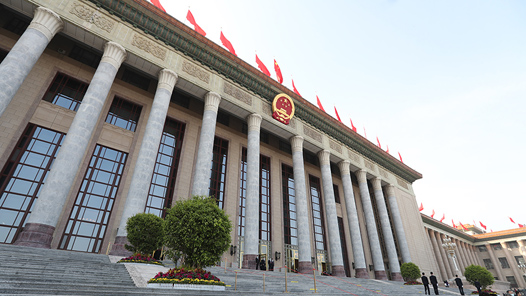 两会瞭望丨推动社会治理进步：让“金点子”转化为“金钥匙”