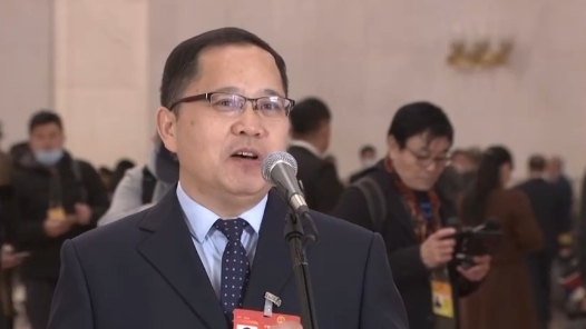 代表通道丨何毓灵：殷墟考古人讲述“亚长”牛尊发掘故事