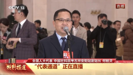 代表通道丨何毓灵：殷墟考古人讲述“亚长”牛尊发掘故事