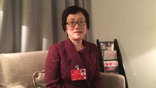 孙洁委员：加快保险机制建设 破解知识产权维权难