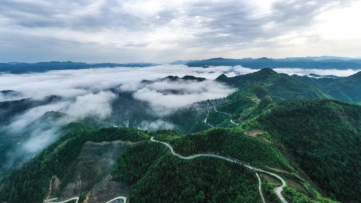 让绿水青山价值“变现”