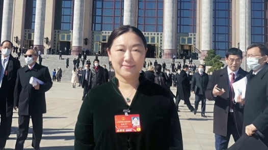 蒋胜男委员：让数据多跑腿 为“表哥”“表姐”减负