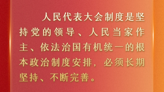 学习原声丨坚持和完善人民代表大会制度