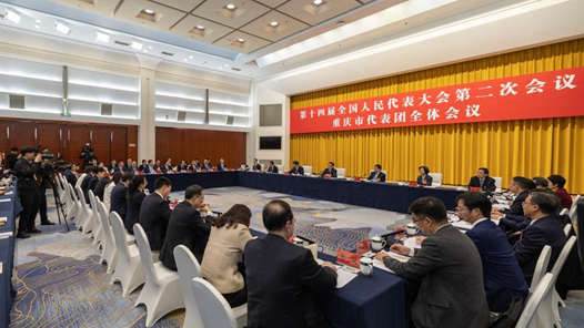 两会丨重庆代表团举行开放团组会议