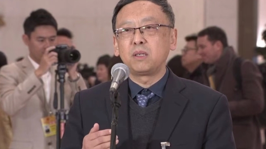 代表通道丨杭侃：加大科技力度 保护中华传统文化瑰宝