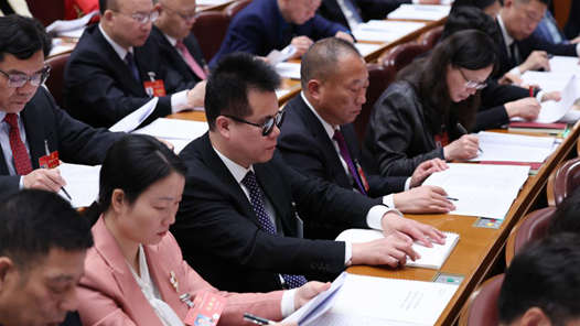 “看得见的幸福，摸得着的民主”