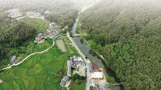 两会议事厅 ▏加快实现农业强农村美农民富