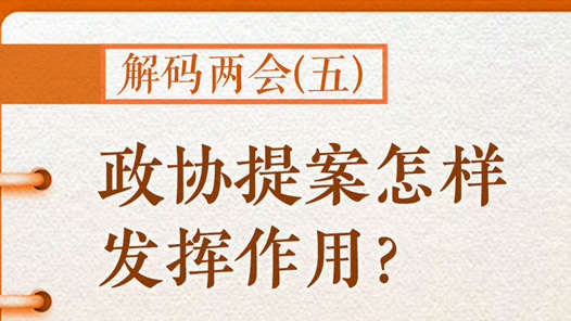 解码两会(五)｜政协提案怎样发挥作用