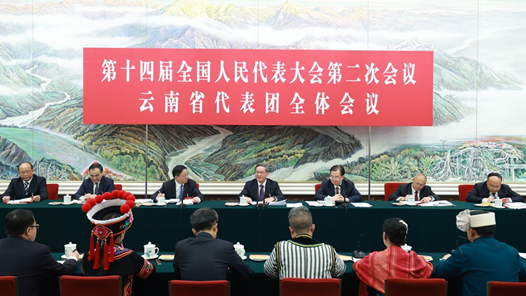 李强在参加云南代表团审议时强调 充分发挥优势彰显特色 更好融入国家区域协调发展大局