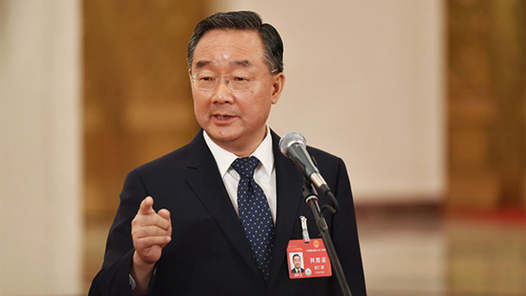 两会现场速递丨有力有效推进乡村全面振兴