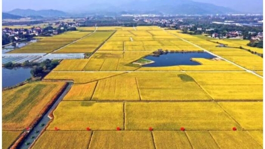 两个问题 两个确保