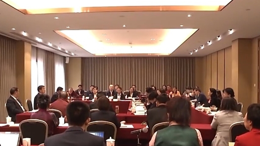 代表委员议国是丨汇聚同心圆梦的磅礴力量