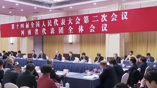 代表委员议国是丨肩负职责献良策 奋楫扬帆启新程