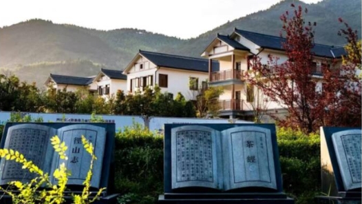 带着基层声音上两会 让人民的未来更美好