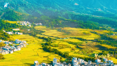 关注总书记的关切 锦绣乡村入画来