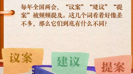 解码两会(七)丨议案、建议、提案……有啥不同？