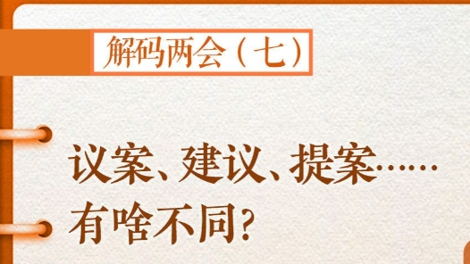 解码两会｜议案、建议、提案……有啥不同？
