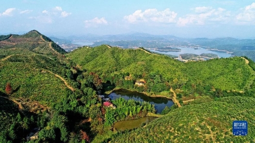 “白雪换白银换来了吗？”｜两会问答·总书记的牵挂⑤