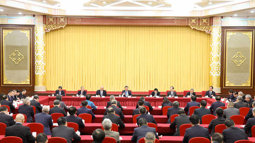 第1视点｜习近平看望政协委员并参加联组会